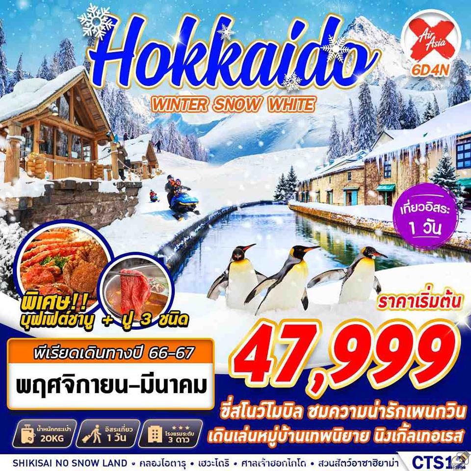 WTPT0513 : HOKKAIDO WINTER SNOW WHITE FREEDAY